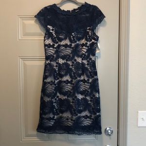Blue lace overlay fitted dress